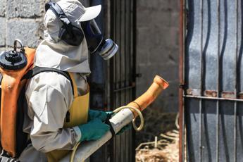 Dengue, l’allarme si allarga: dopo il Brasile colpita anche Argentina