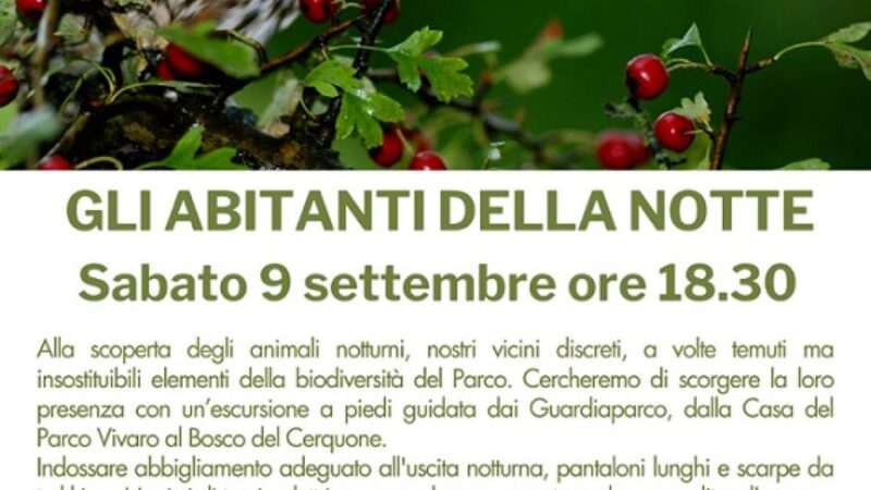 Parco dei Castelli Romani, un grande successo l’evento “Gli Abitanti della Notte” con i Guardiaparco