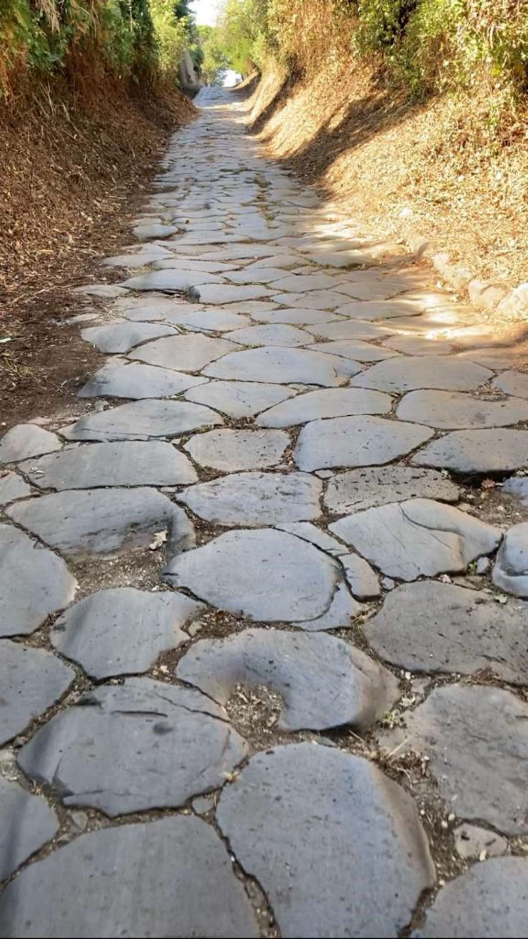 Genzano di Roma, la riscoperta della storia del paese attraverso l’Appia antica, Appia Day e 36ª Festa del Pane Casareccio IGP