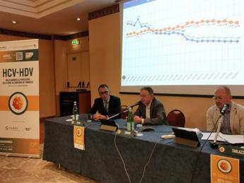 Infezione da HCV: in Emilia-Romagna screening a tappeto con oltre il 25% di cittadini raggiunti. Al via campagne informative più capillari con il coinvolgimento di medici di famiglia e operatori sanitari per aumentare i numeri