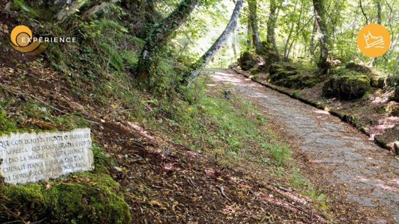 Rocca di Papa, “LUNGO LA VIA SACRA DEL MONS ALBANUS”: escursione guidata di archeotrekking