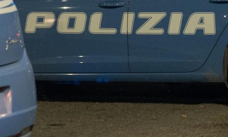 Ciampino, cane rischia di provocare un incidente e di essere investito dagli automobilisti: la Polizia di Stato lo mette in salvo