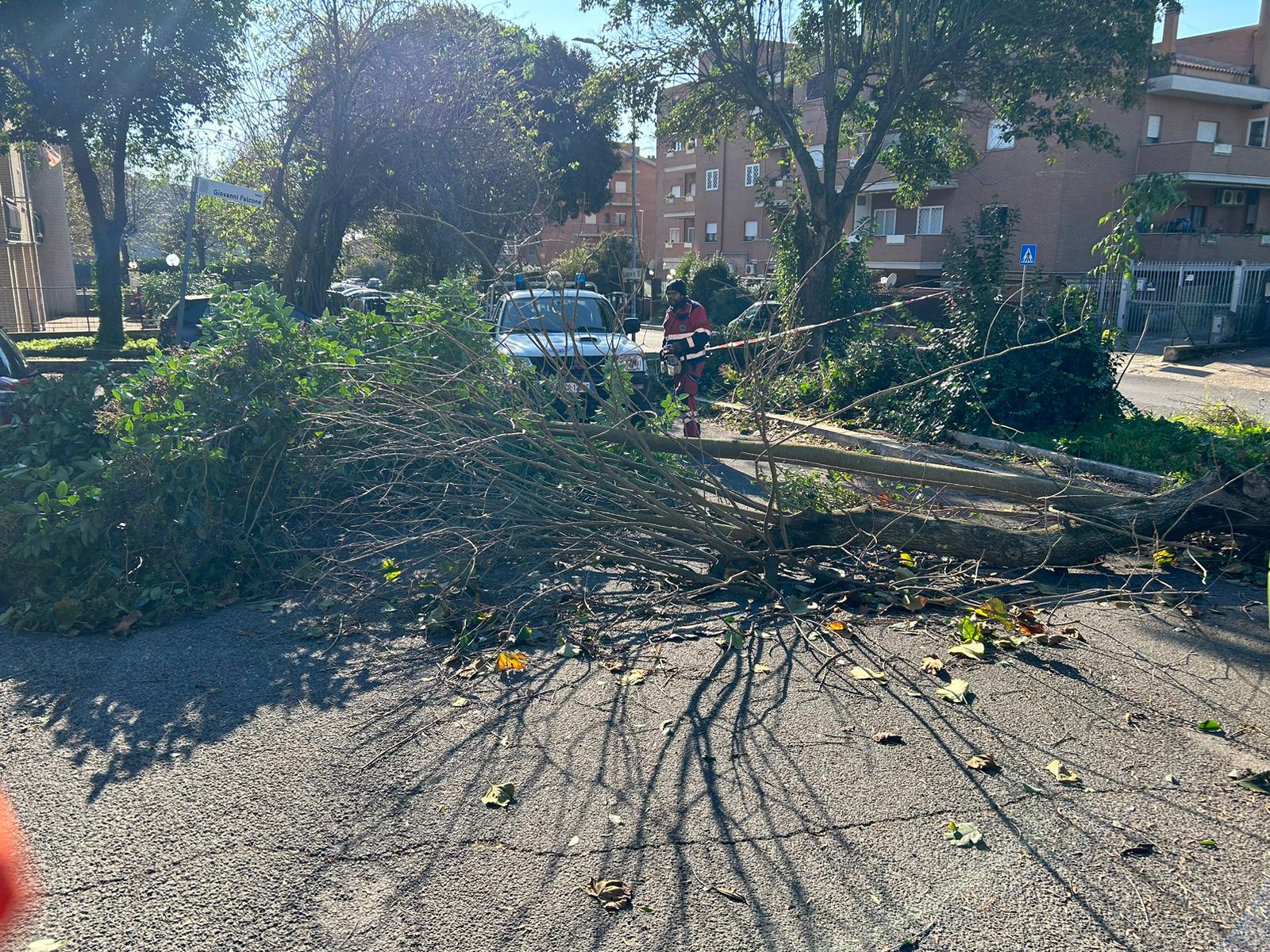 Genzano, strage di alberi e rami: numerosi interventi della Protezione Civile