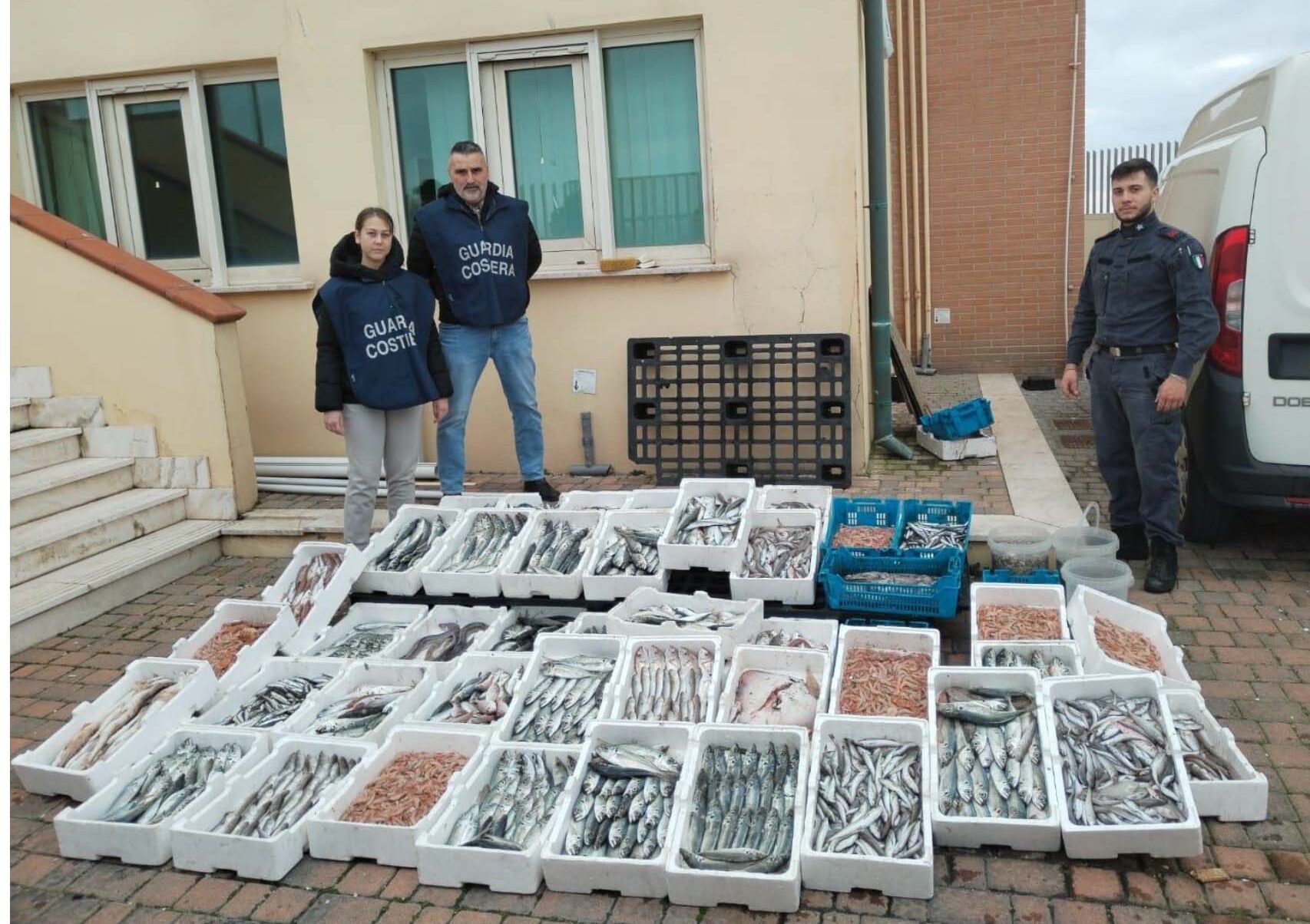 Anzio, sequestrati oltre 500 kg di pesce sul porto, non era tracciabile e non conservato a norma