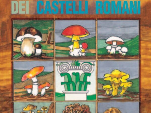 Parco regionale dei Castelli Romani, funghi, organismi essenziali per l’ecosistema