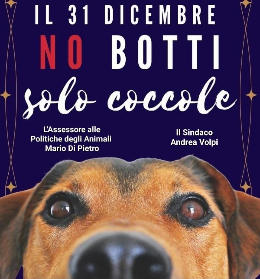 LANUVIO, IL 31 DICEMBRE “NO BOTTI, SOLO COCCOLE”