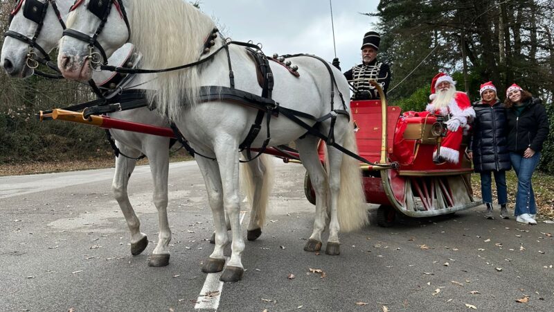 Ariccia, a Montegentile é arrivato Babbo Natale in slitta