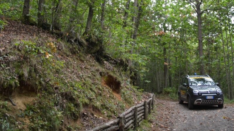 Parco dei Castelli Romani, attività antibracconaggio dei Guardiaparco insieme ai Carabinieri Forestali