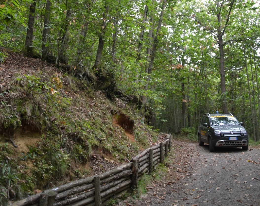 Parco dei Castelli Romani, attività antibracconaggio dei Guardiaparco insieme ai Carabinieri Forestali