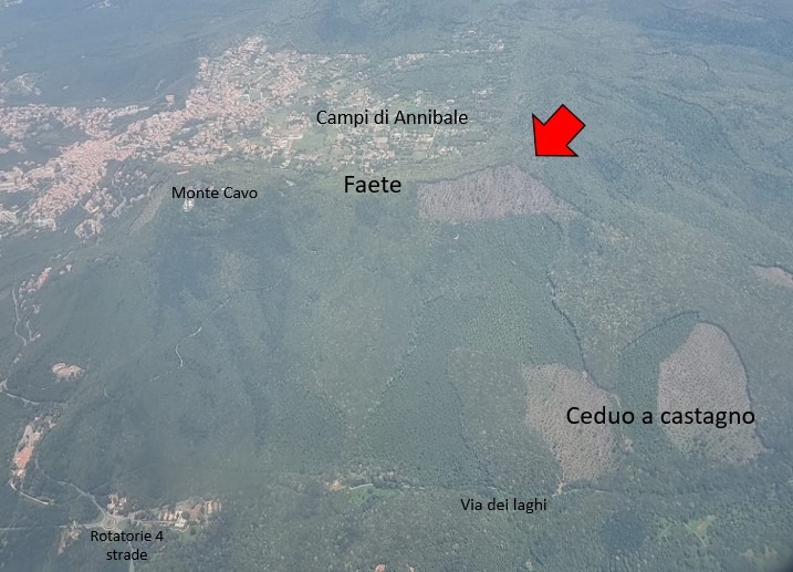 Lo stato delle foreste dei Castelli Romani, soluzioni e proposte