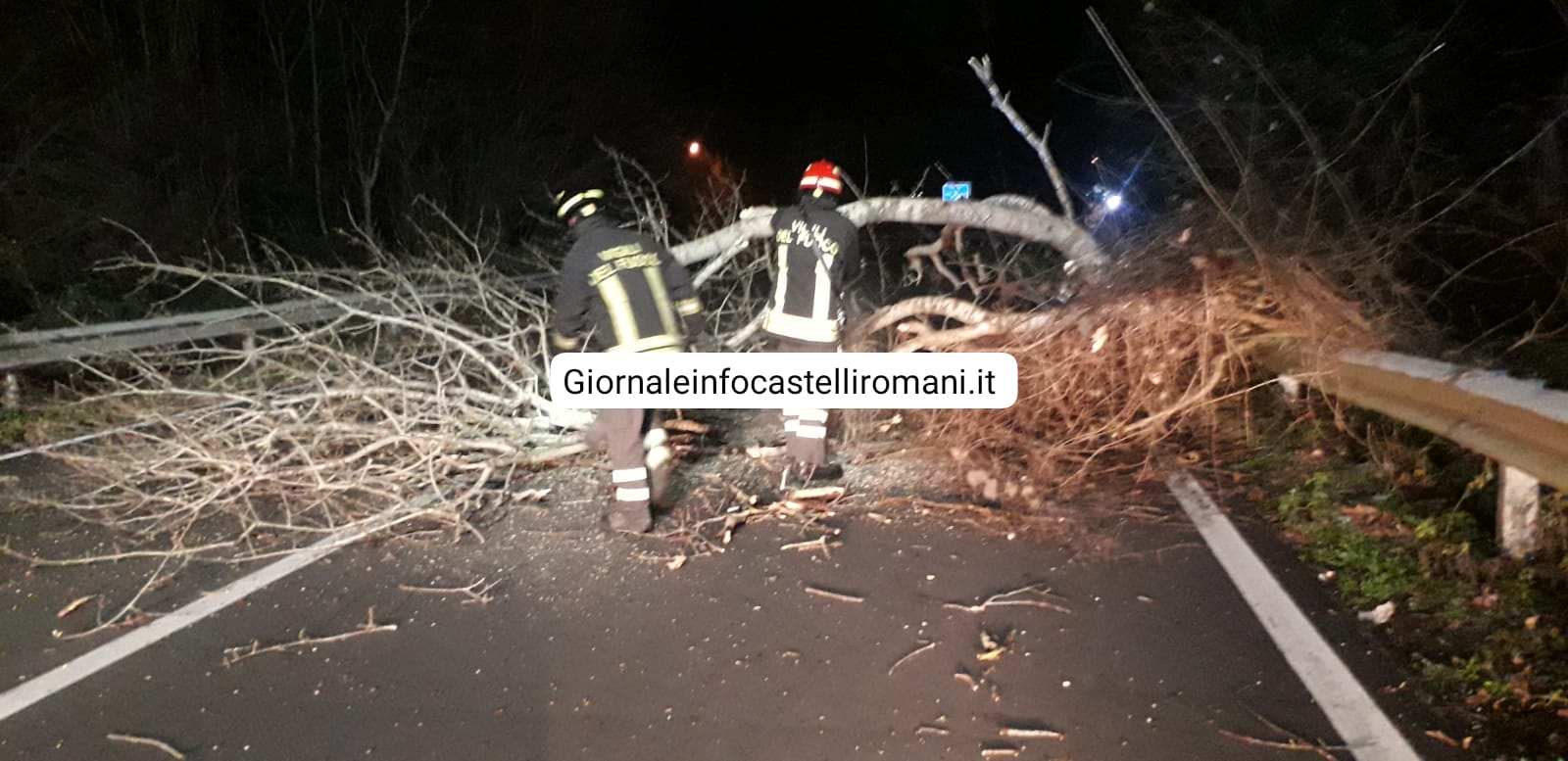 Ariccia, albero pericolante chiusa la strada per Rocca di Papa