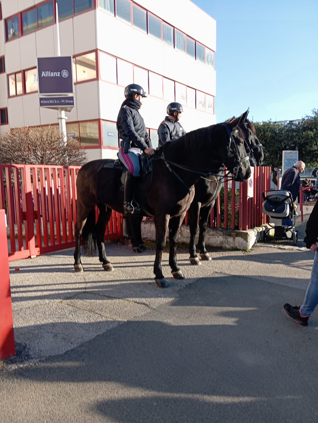 Velletri, grande partecipazione alla Festa di Sant’Antonio Abate, presente la polizia a cavallo