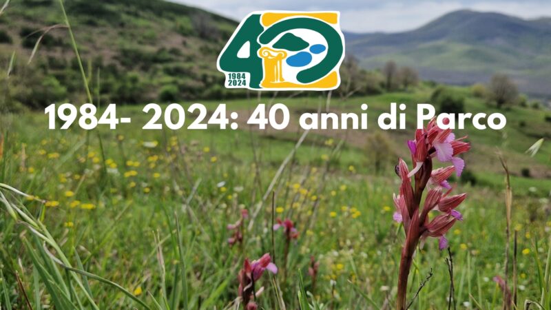 40 anni del Parco dei Castelli Romani, un bilancio ecologico e territoriale