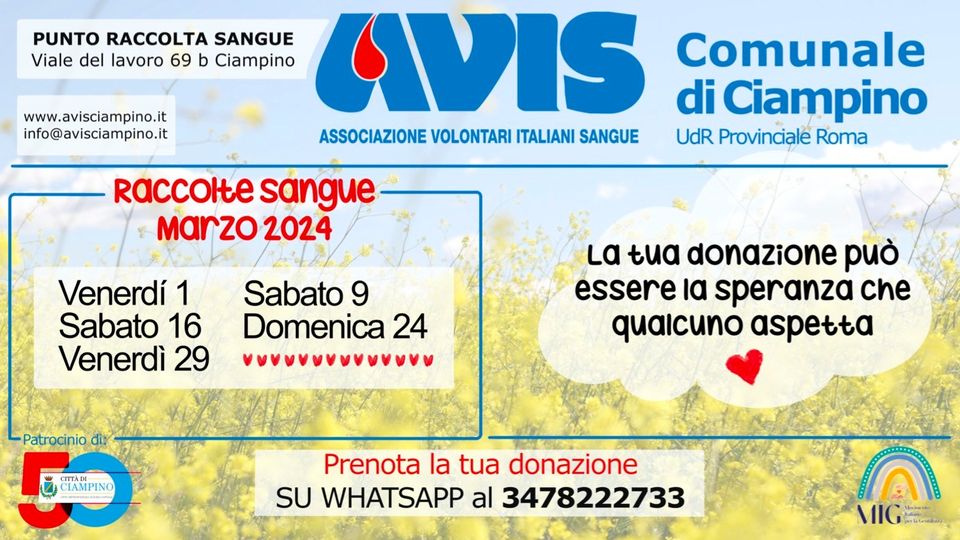 Ciampino, AVIS Comunale: calendario della raccolta sangue per il mese di marzo 2024