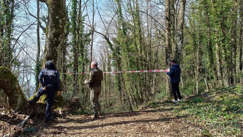 Rocca di Papa, fermati e multati motociclisti per attività non consentite nei boschi di Monte Cavo