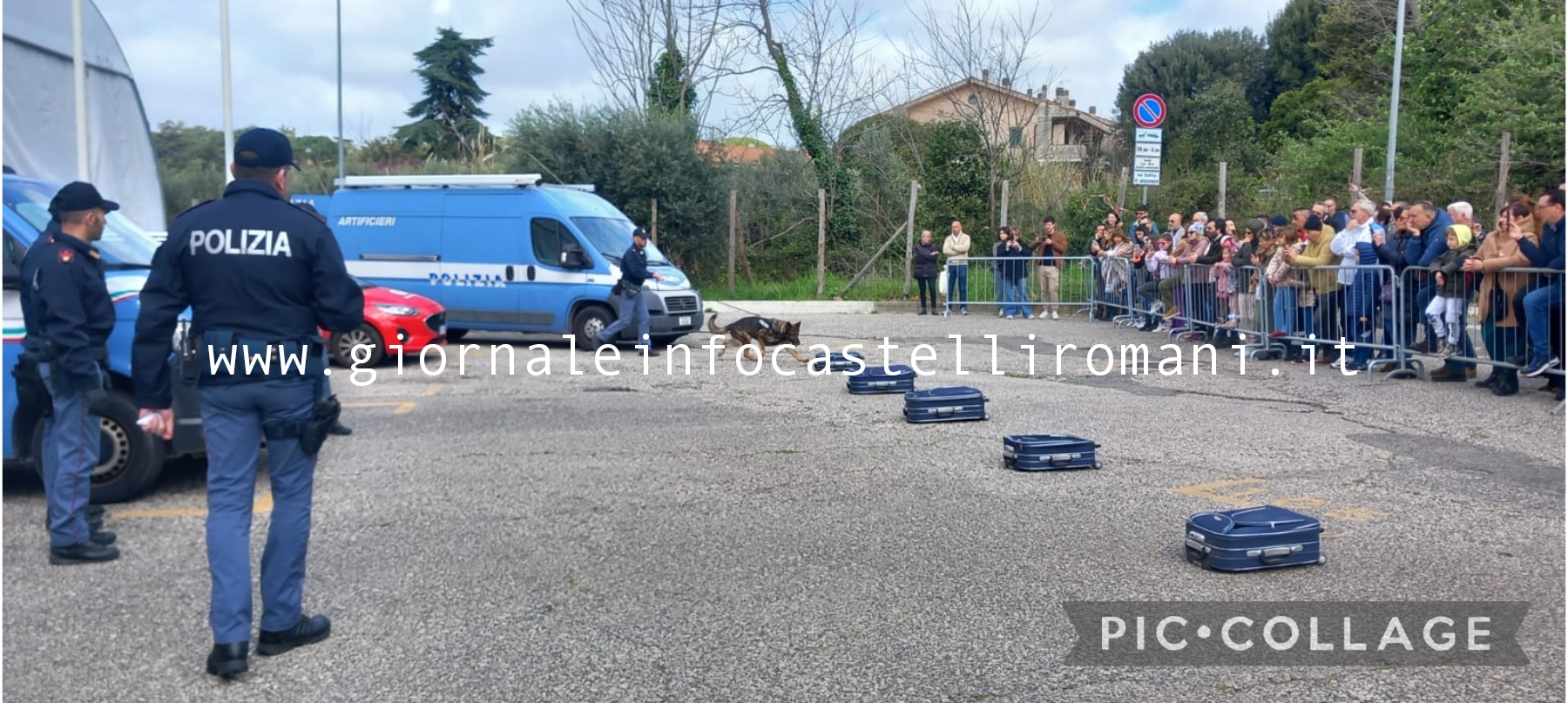 Grottaferrata, le esclusive immagini della dimostrazione delle unità cinofile della Polizia alla Fiera