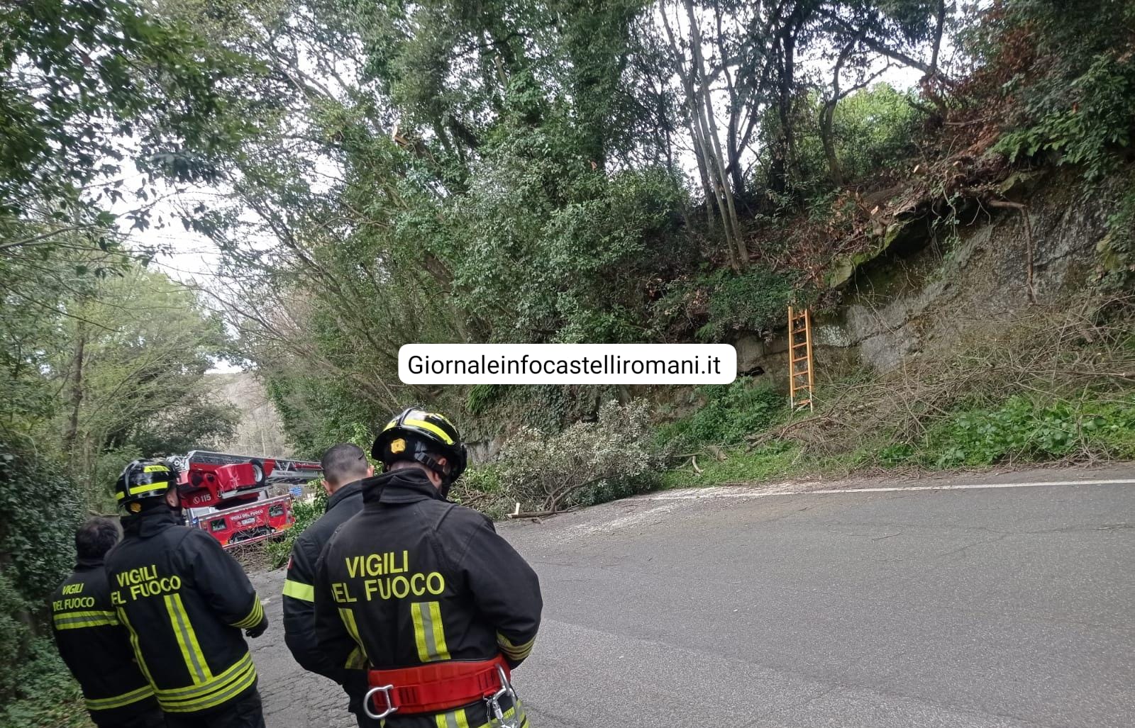 Ariccia, doppio intervento di Vigili del Fuoco e Polizia Locale per alberi pericolanti