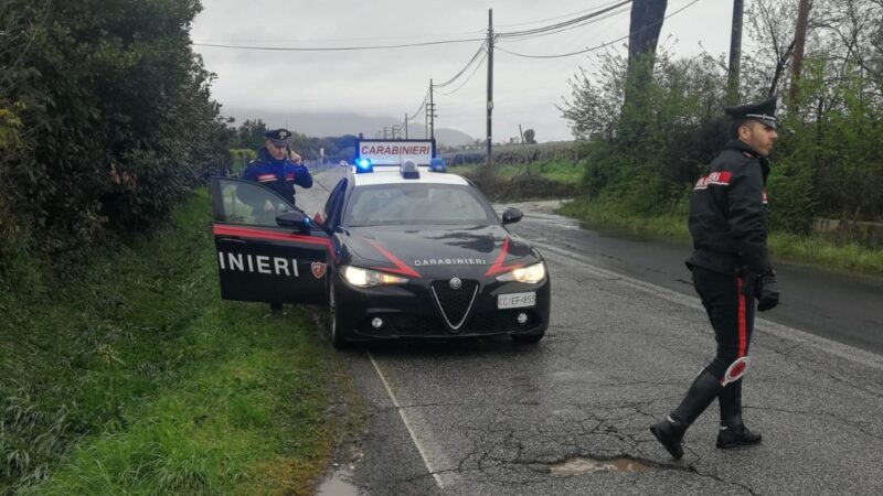 Velletri, incidente su via dei Cinque Archi a causa di un cane che attraversa la strada, deceduto in seguito allo scontro