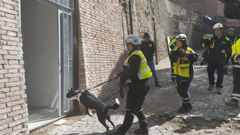 Colonna e Monte Compatri unite in una simulazione di prevenzione del terremoto. Foto