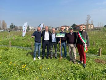 Sostenibilità, Mosaico Verde: inaugurato a Caravaggio intervento di forestazione