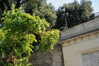 Roma, ragazza cade da terrazza del Pincio: volo di 5 metri