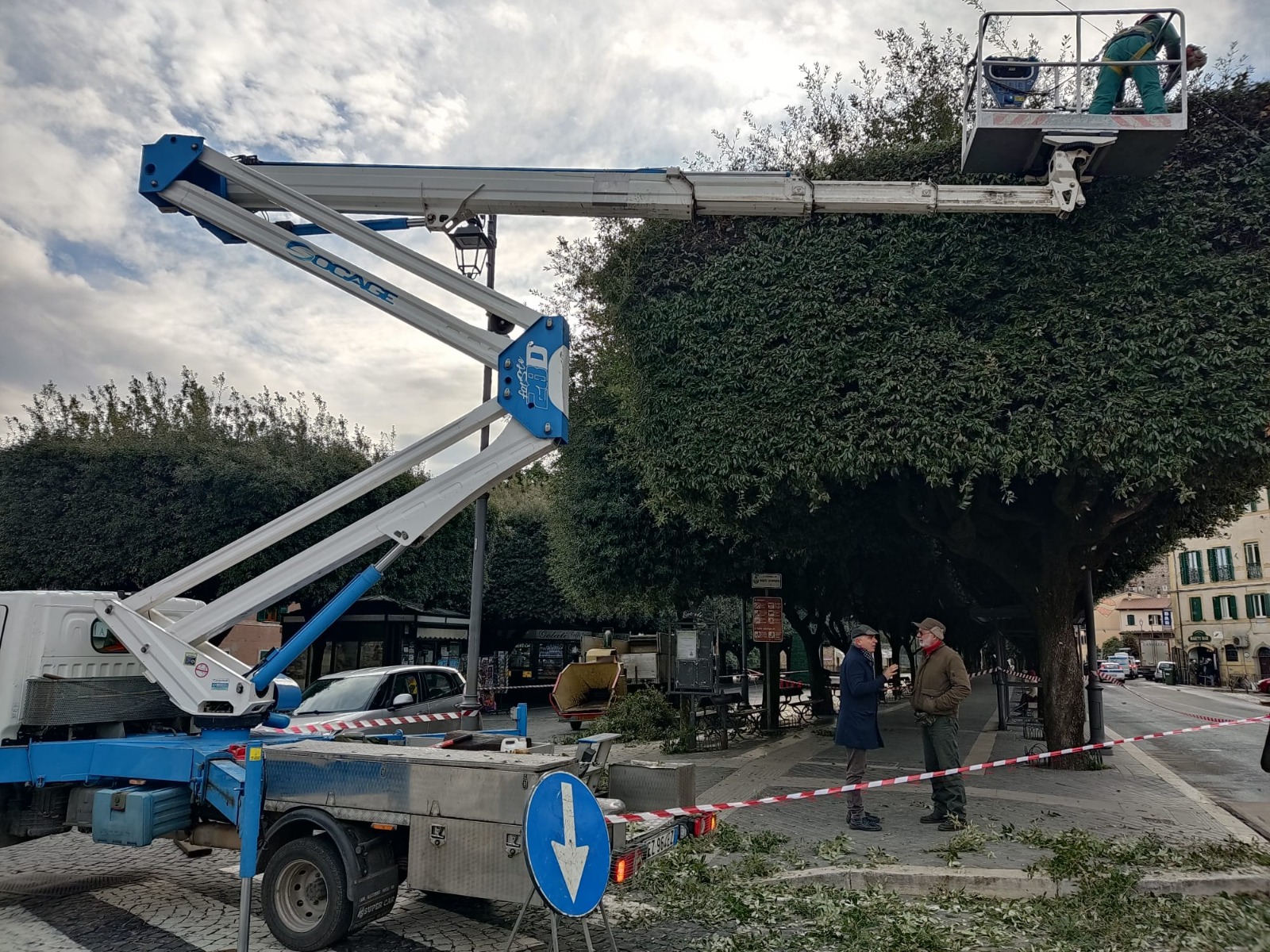 Monte Compatri, dal giorno 8 aprile inizieranno gli interventi di potatura alberi e squadratura dei lecci. La ditta incaricata inizierà dalla Passeggiata