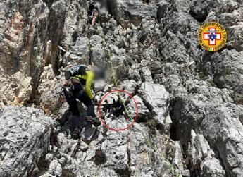 Cane scala montagna e resta bloccato: salvato