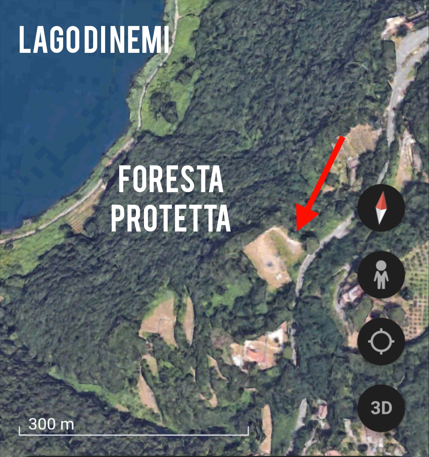 Nemi, Coordinamento “Natura & Territorio dei Castelli Romani” lancia un appello per la tutela del Lago di Nemi