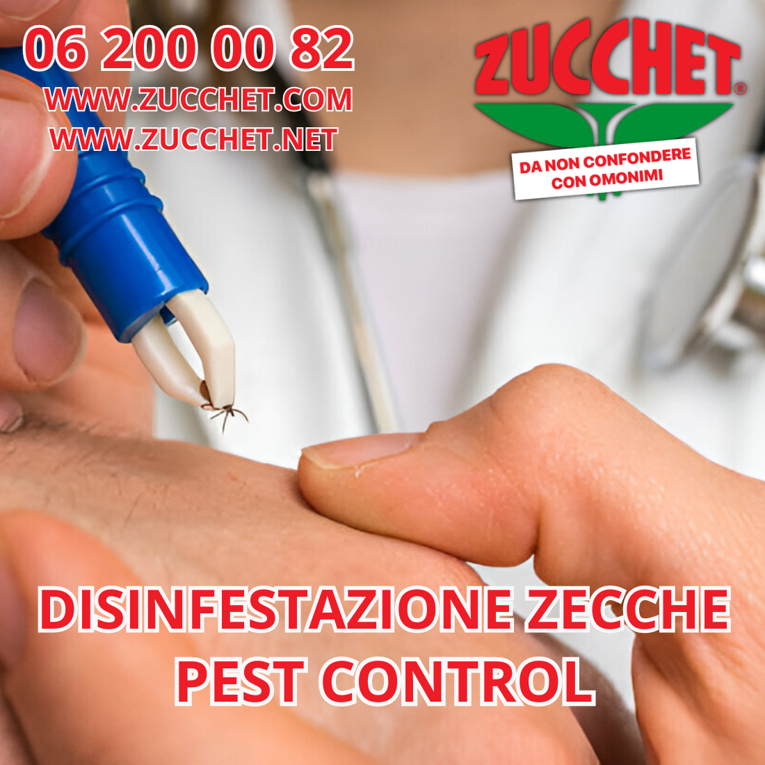 La Disinfestazione delle Zecche e i Possibili Contagi: Guida Completa