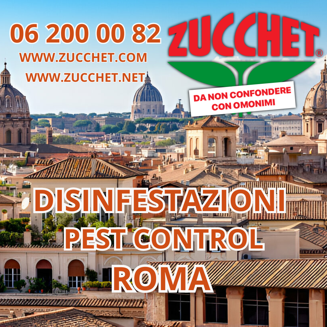 Disinfestazioni Roma: Come Liberare la Tua Casa dagli Insetti