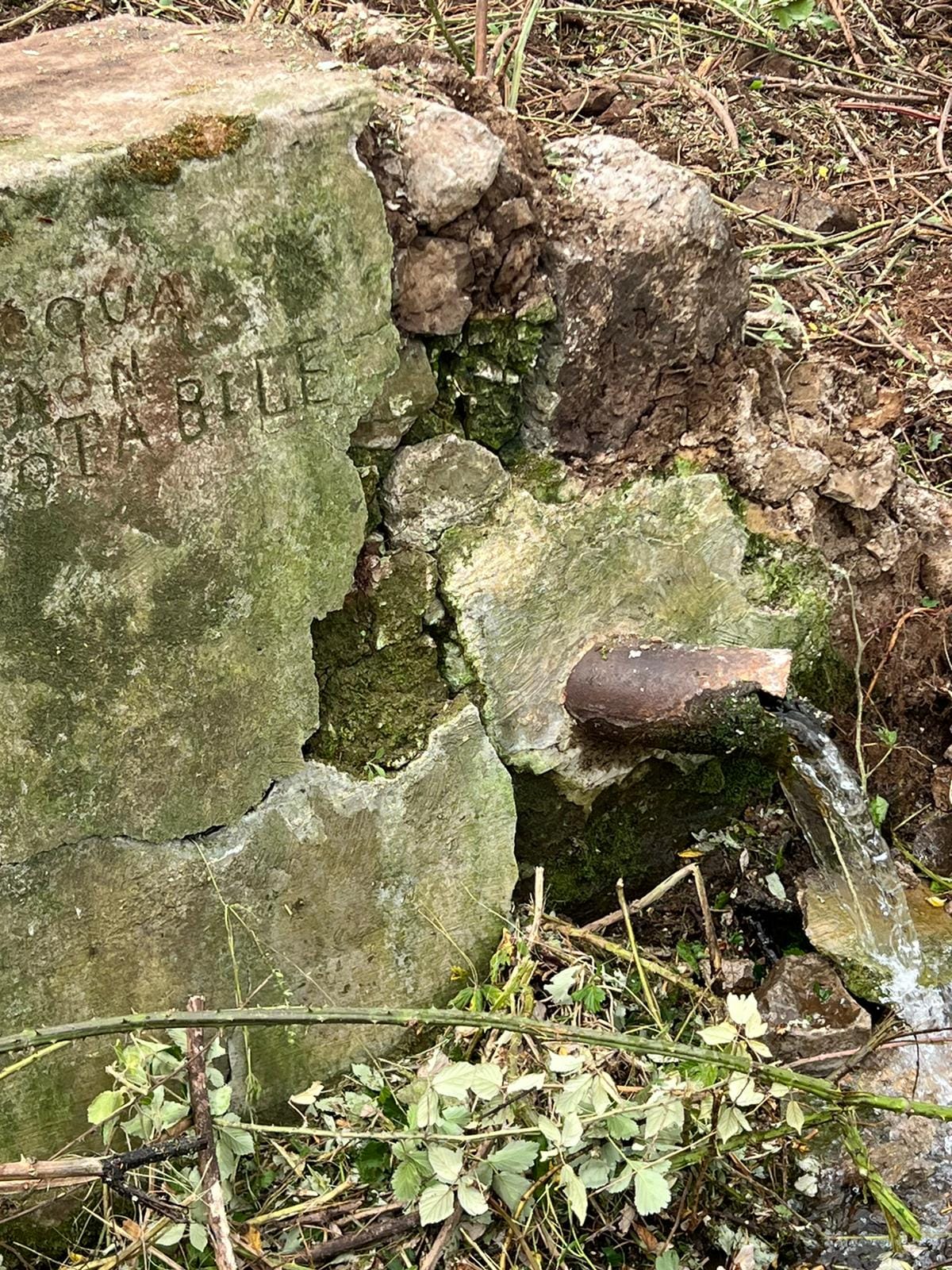 San Cesareo, recupero del Fontanile di Valle Canestra: pulizia del verde e raccolta ingombranti