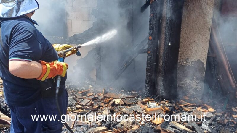 Genzano, pericoloso incendio sta interessando una zona rurale