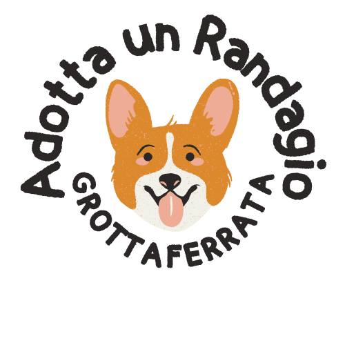 Grottaferrata, assegnataria di un contributo metropolitano per incentivare le adozioni di animali da affezione