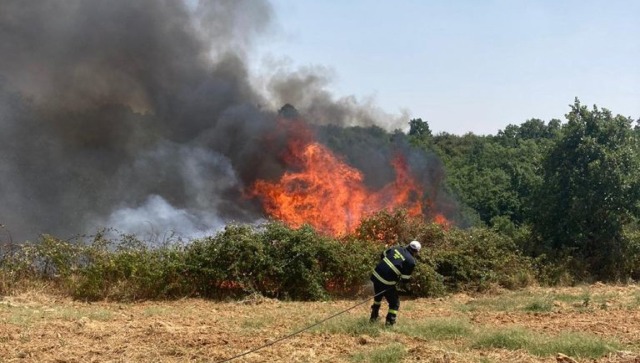 Pomezia, misure di prevenzione rischio incendi boschivi