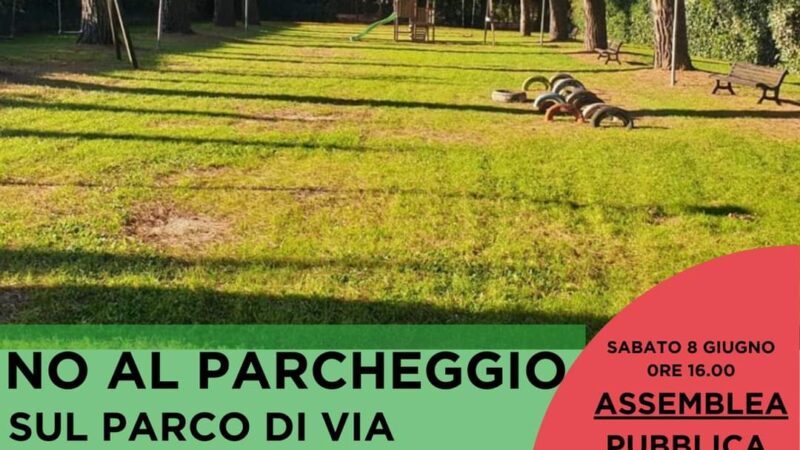 Comitato protezione boschi Colli Albani: salviamo Parco Romita di Ariccia e i suoi Pini Marittimi! No al cemento!