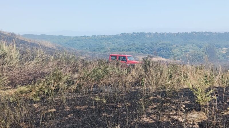 Castelli Romani e provincia di Roma continua l’emergenza incendi: lungo intervento ieri a Campagnano