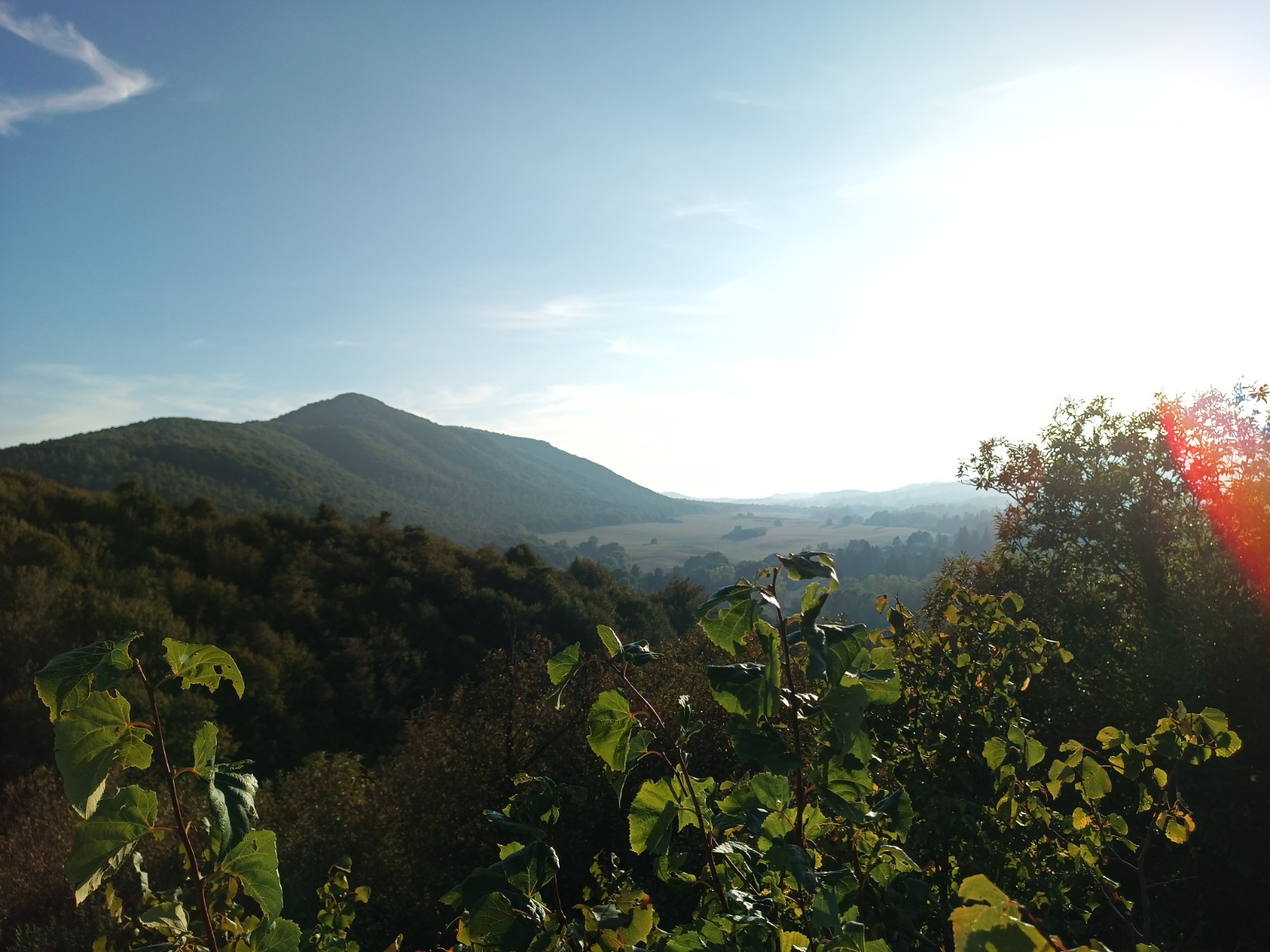 Una rete di foreste protette ai Castelli Romani