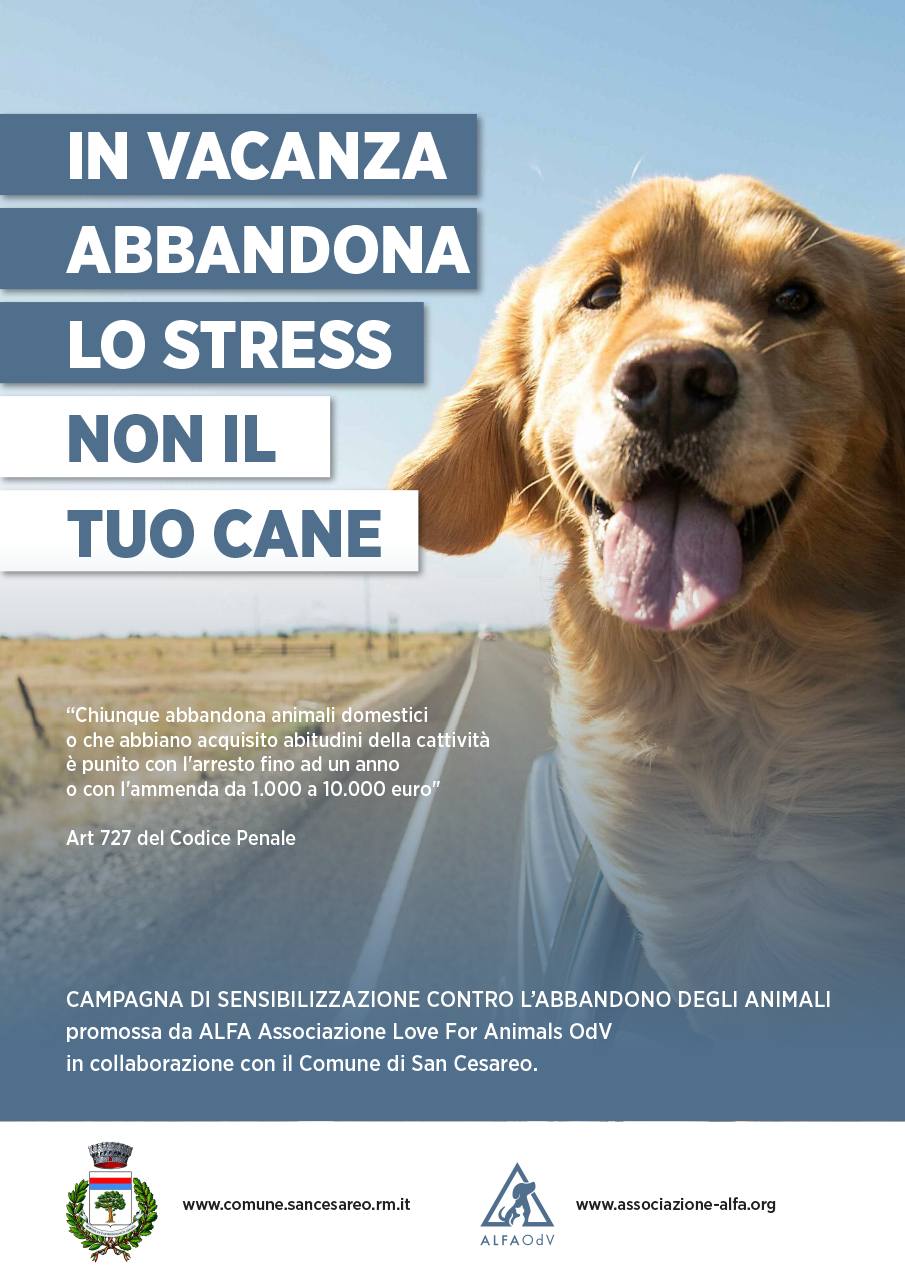 San Cesareo, “In vacanza abbandona lo stress, non il tuo cane, non il tuo gatto”: campagna di sensibilizzazione contro l’abbandono degli animali domestici