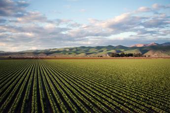 Fertilizzanti e idrogeno, la svolta sostenibile del settore agricolo