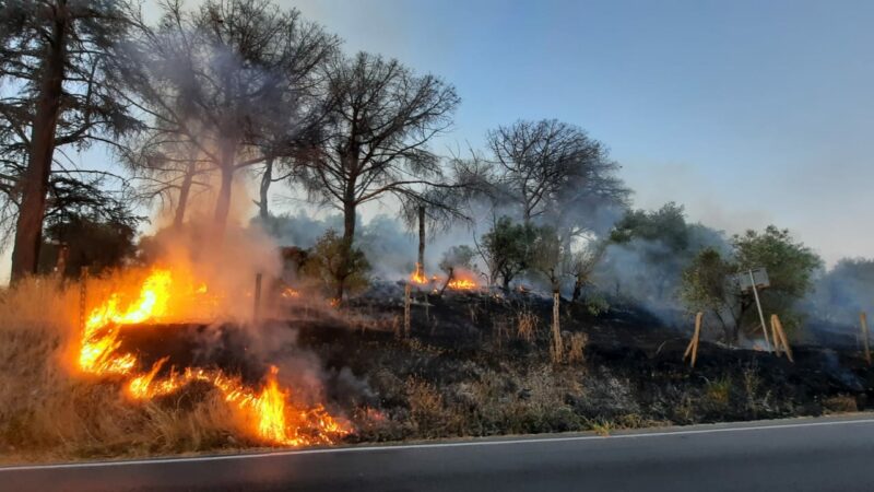 Cecchina, vasto incendio su via Ardeatina