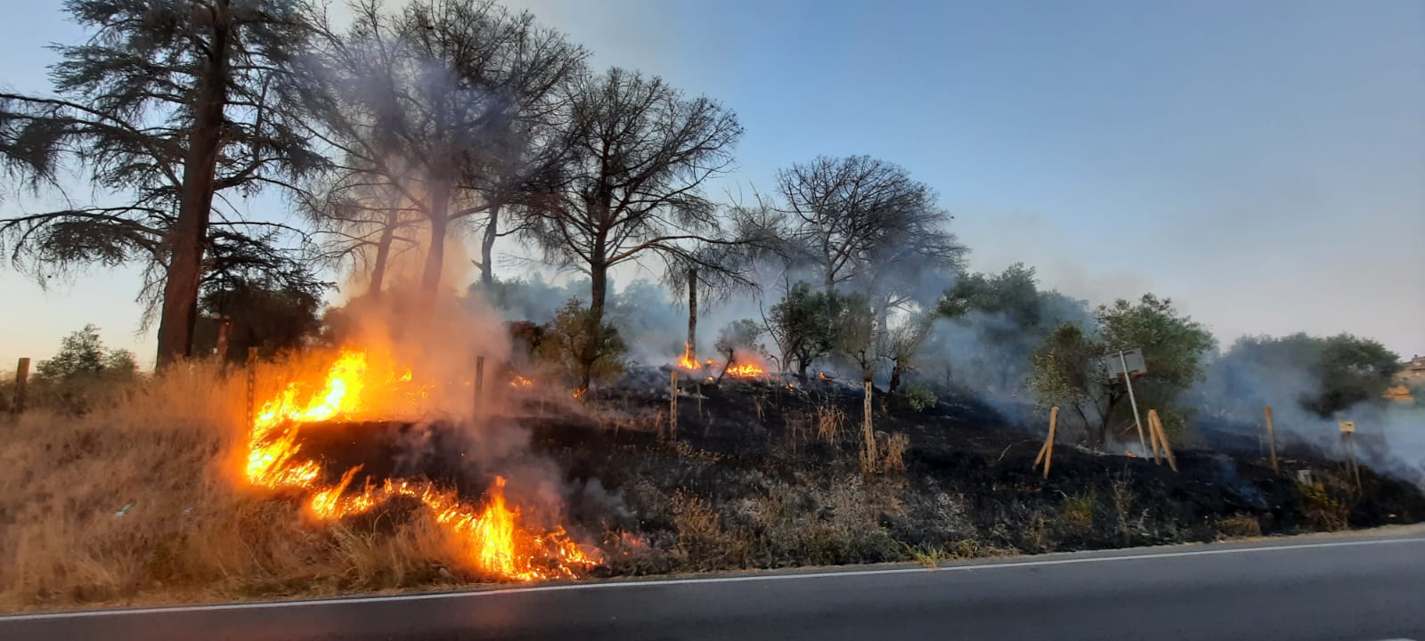 Cecchina, vasto incendio su via Ardeatina