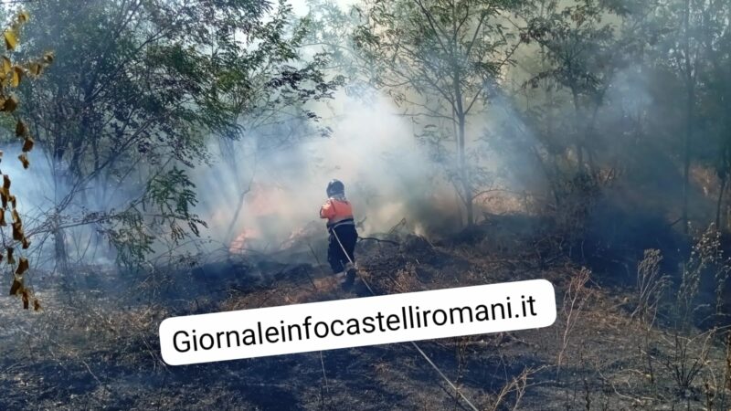 Ardea, vasto incendio in via Valle Caia al confine con Albano