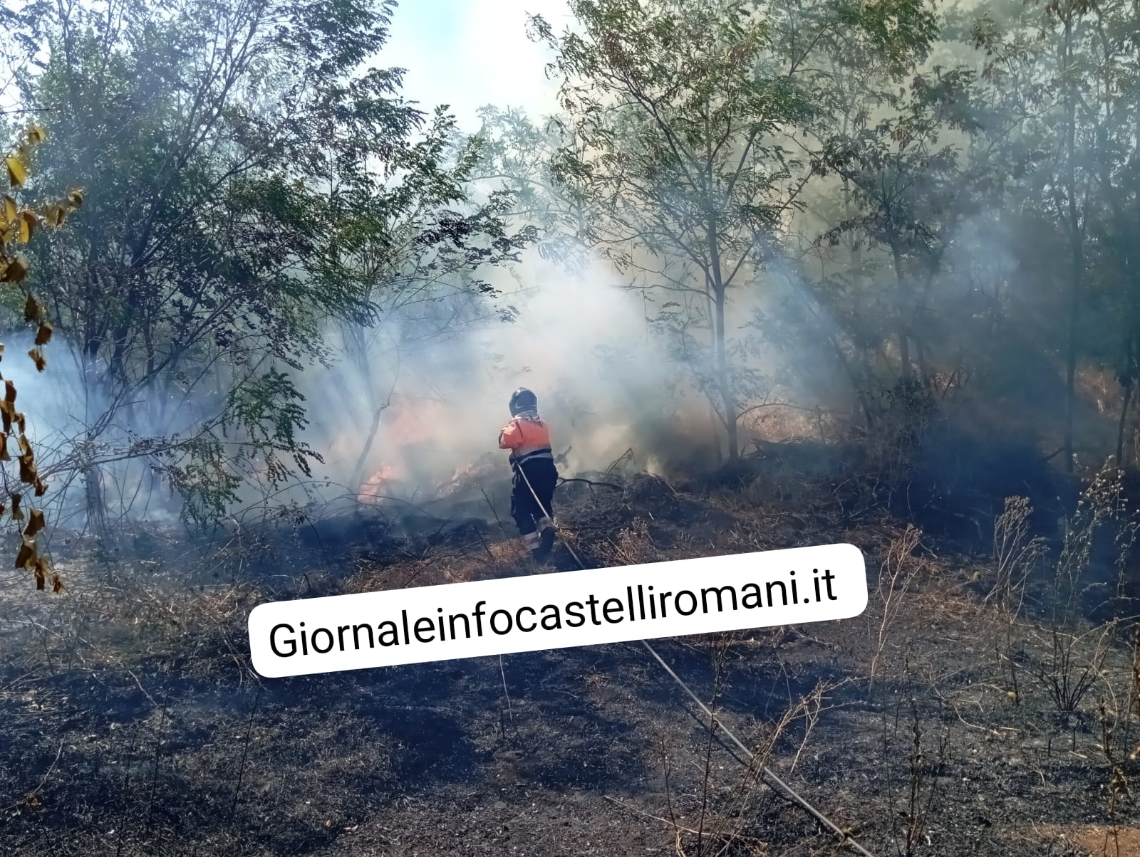 Ardea, vasto incendio in via Valle Caia al confine con Albano