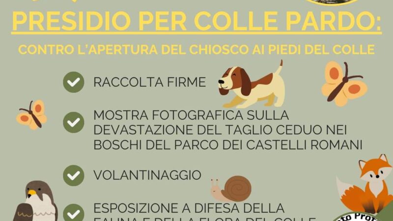 Ariccia, sabato alle 18 nuova manifestazione del comitato per la tutela dei boschi a Colle Pardo