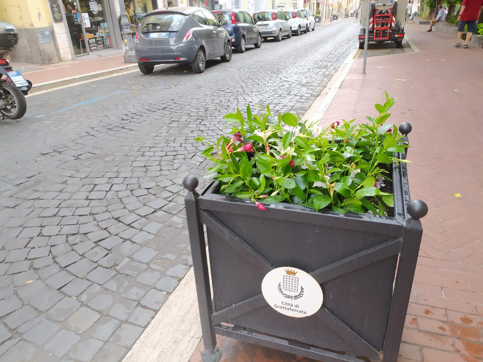 Grottaferrata, nuovi fiori colorano Corso del Popolo