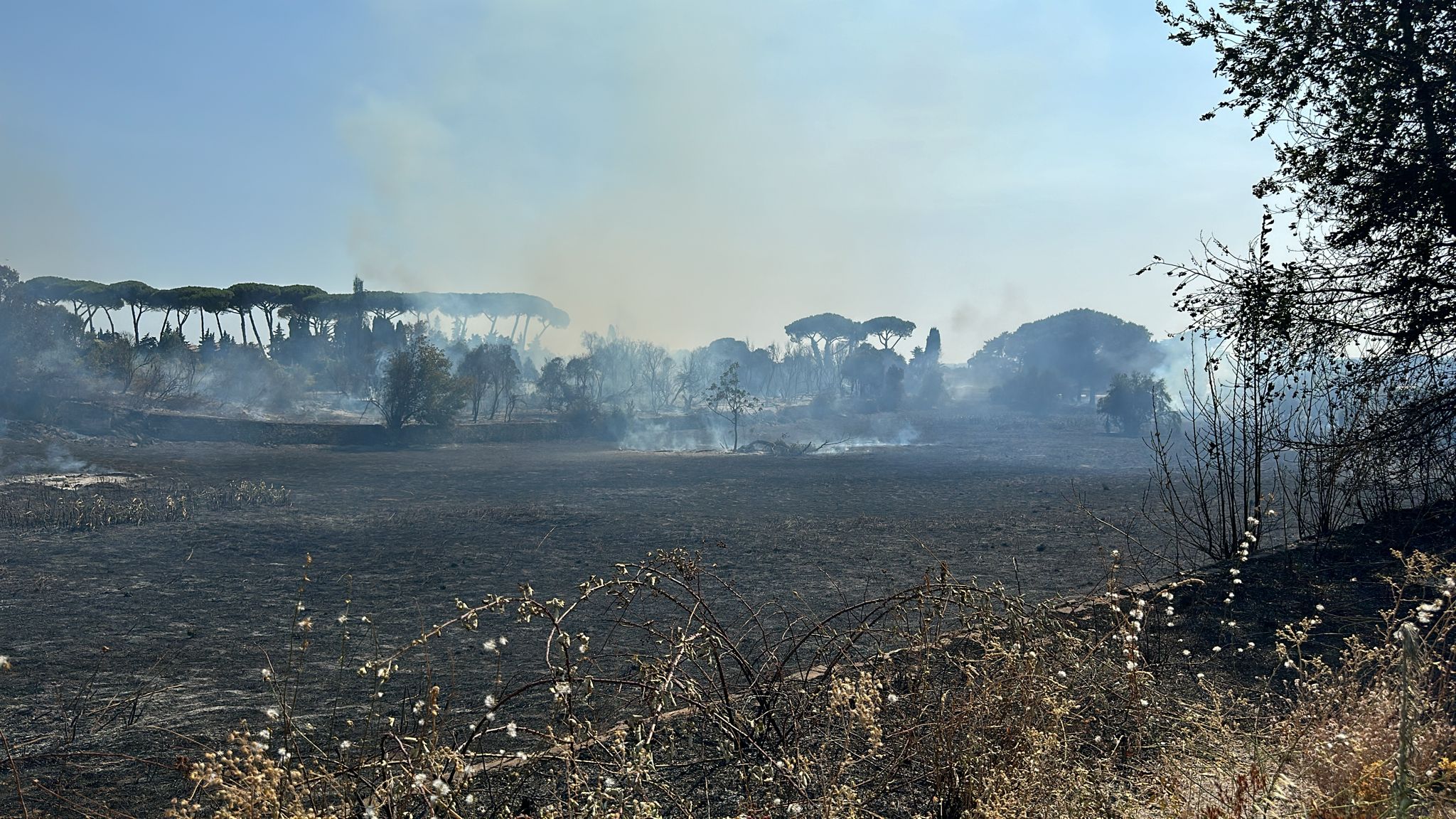 Marino, vasto Incendio tra via Spinabella e via Appia Nuova. Al lavoro decine di mezzi antincendio