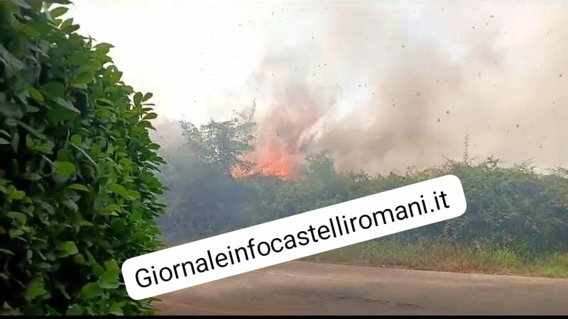 Genzano e Nemi, incendio di vaste proporzioni sulla nemorense