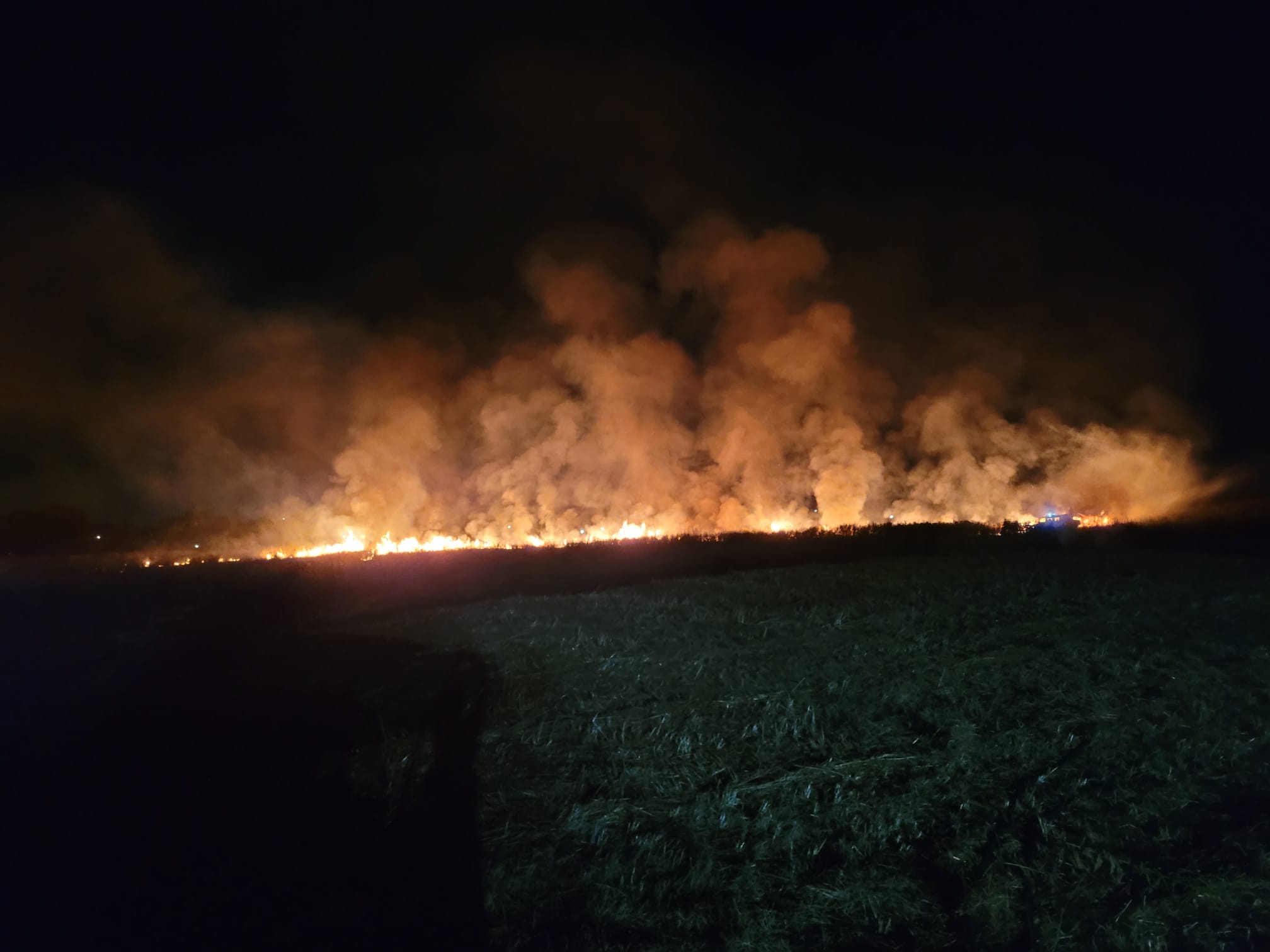 Castelli Romani, giornata di incendi dolosi con numerosi interventi sul territorio