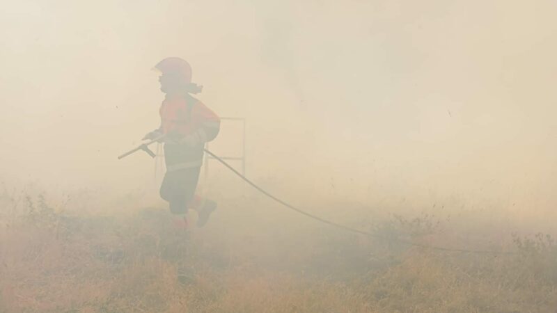 Castelli Romani, ennesimo vasto incendio sul Monte Tuscolo. Al lavoro decine di mezzi e operatori antincendio