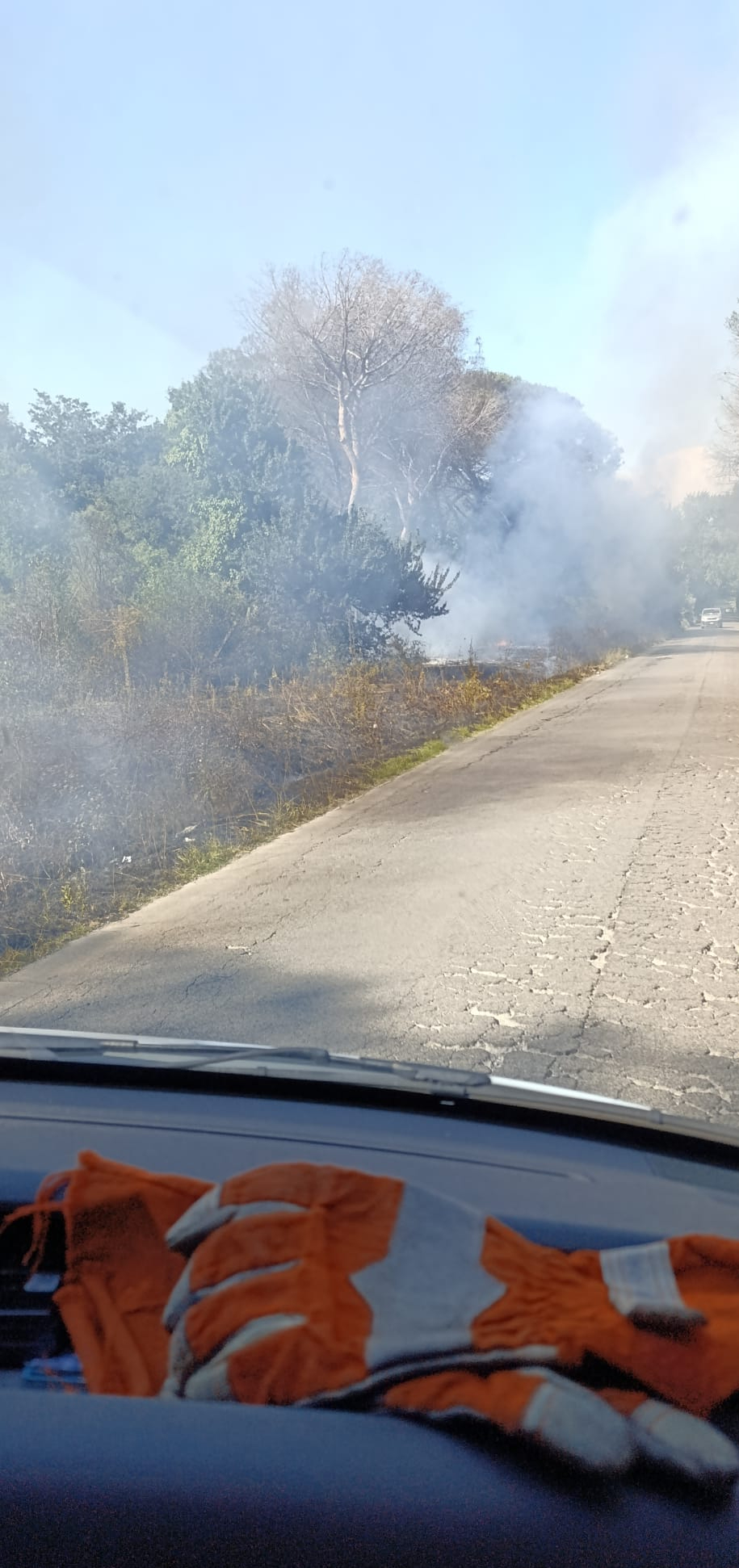 Nettuno, vasto incendio nella pineta di via della Campana. Pronto intervento della protezione civile